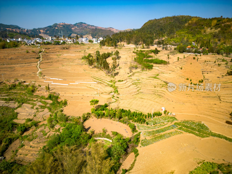 大山山区农业种植航拍摄影图