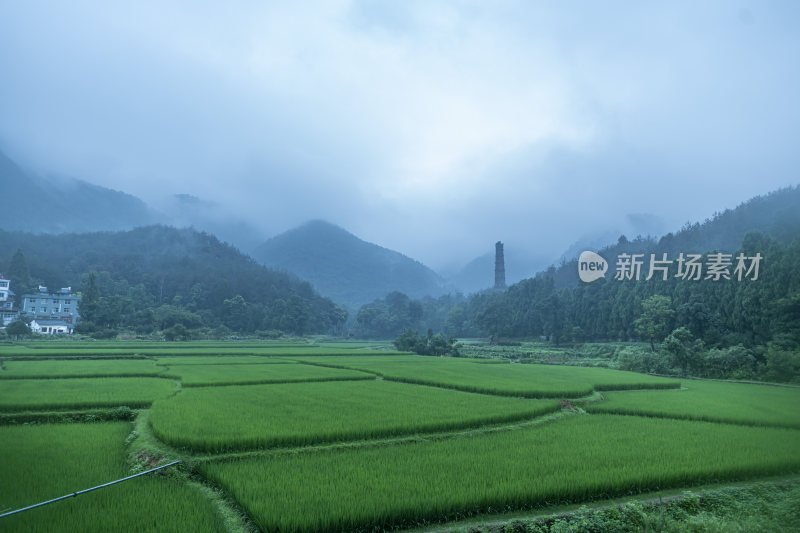 天台山千年古刹国清寺风景