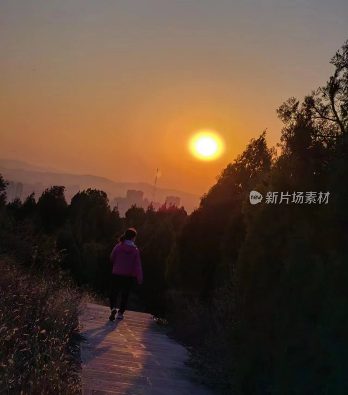 女子在日落时分的林间小路上行走