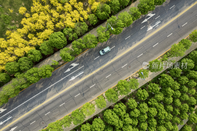 城市森林公路街道交通俯瞰航拍