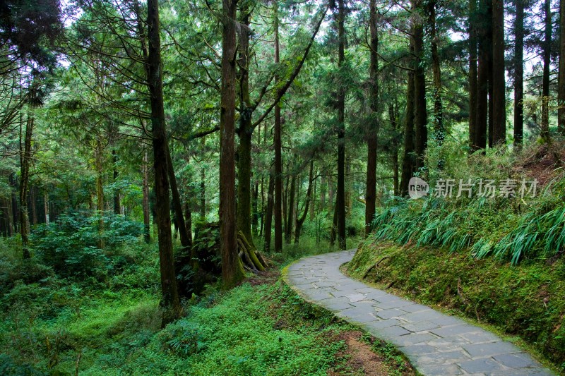 阿里山