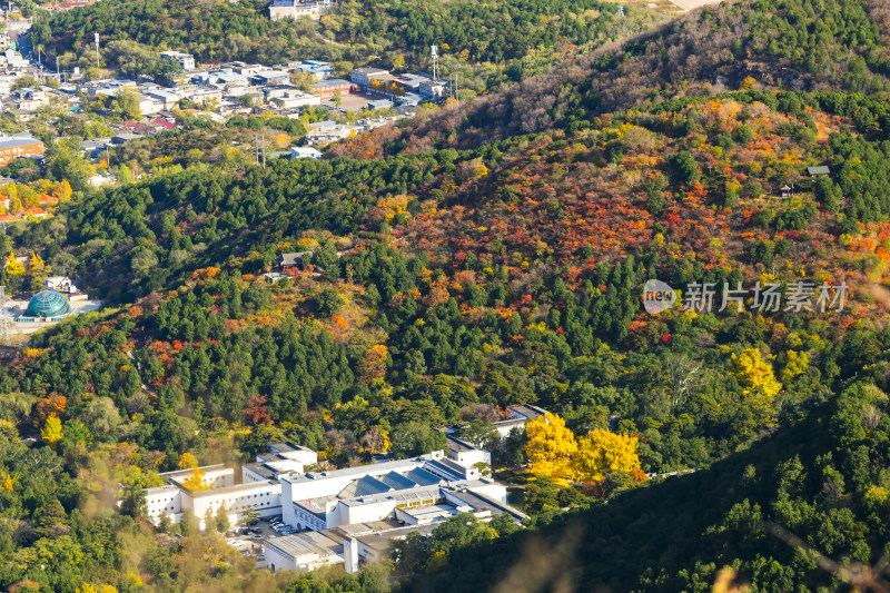 山林中多彩树叶环绕的白色建筑景观