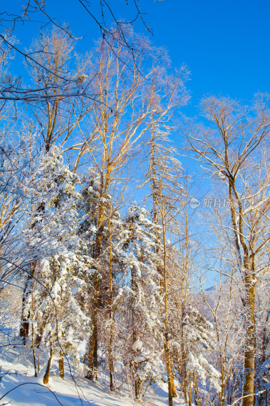 黑龙江 双峰林场 雪乡