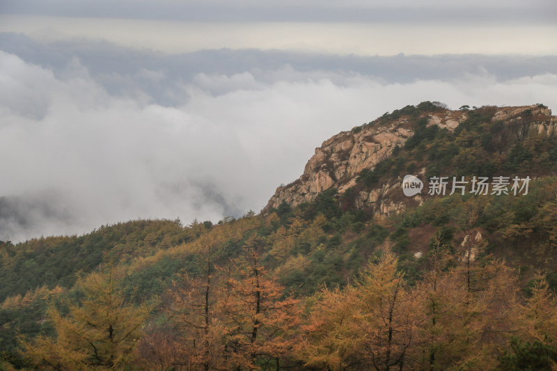 云海 山峰 山峦 清晨 泰山 唯美 秋色 秋天