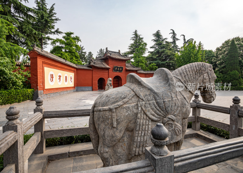 洛阳白马寺入口门白马石狮子景点景观