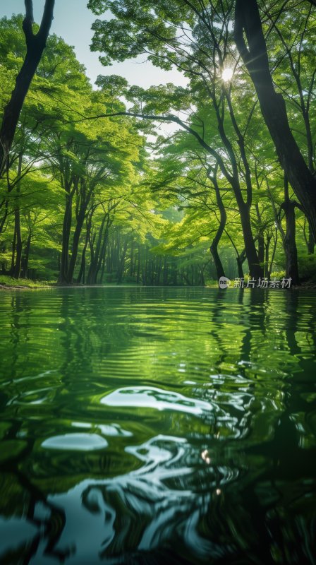 水面湖泊绿色自然宁静森林湖面背景