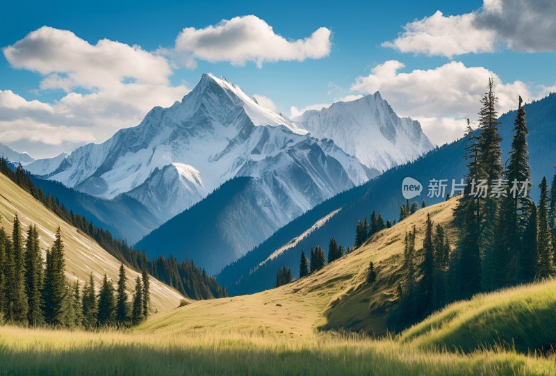 雪山高原草原森林风景