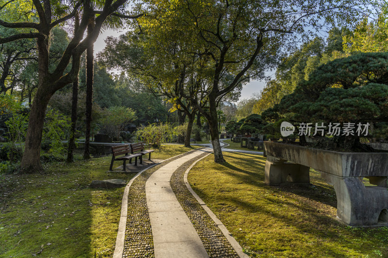 杭州西子湖畔杭州花圃风景