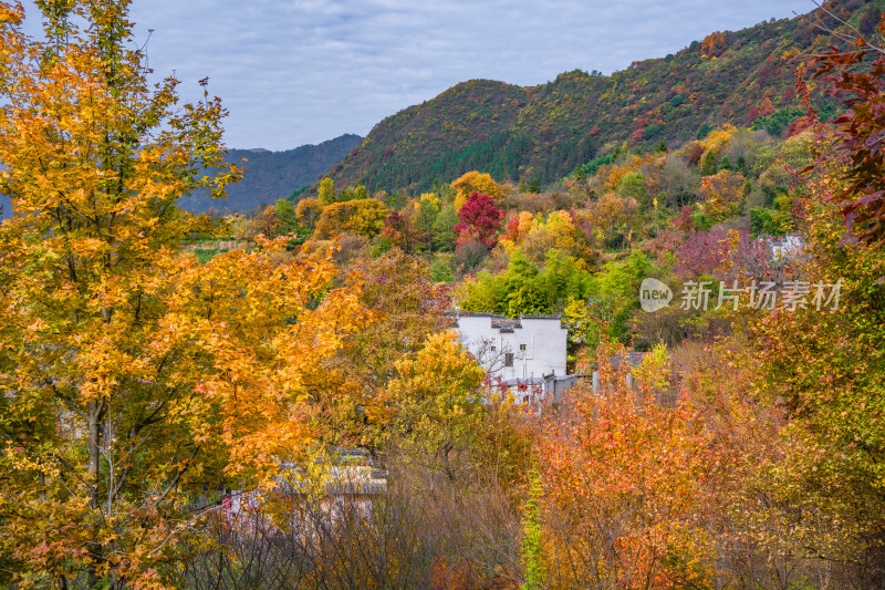 皖南秋色塔川国家森林公园