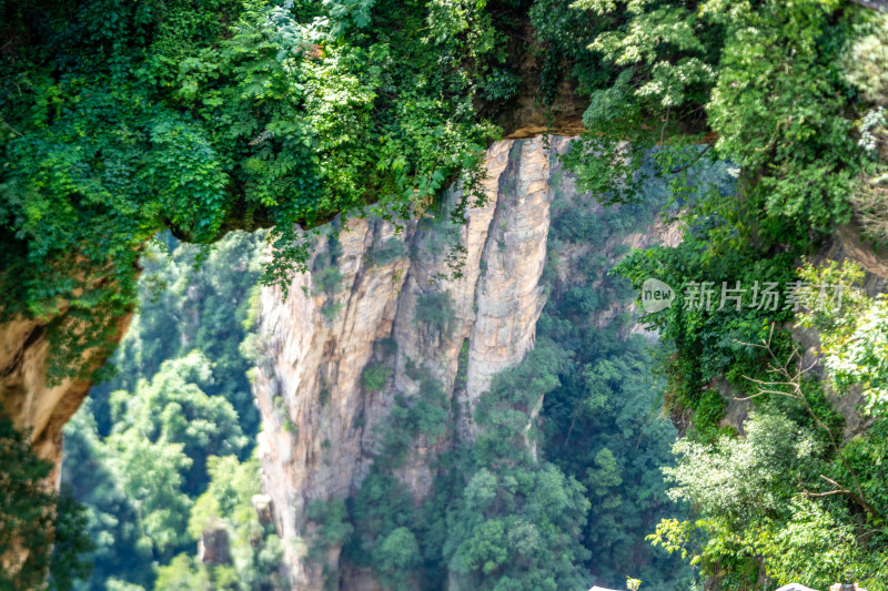 中国湖南张家界景区奇特山峰与茂密森林