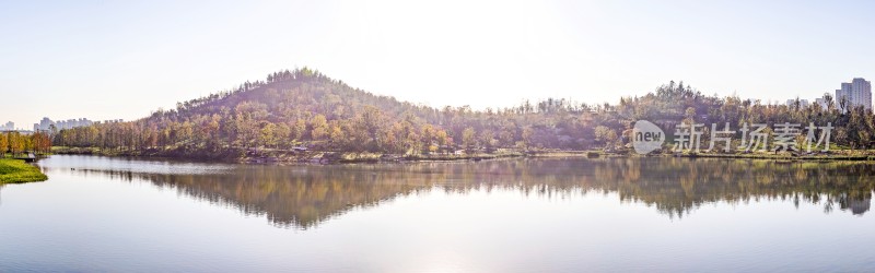 城市湖边风光与远处高楼