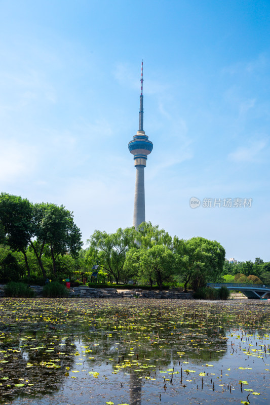 北京玉渊潭公园