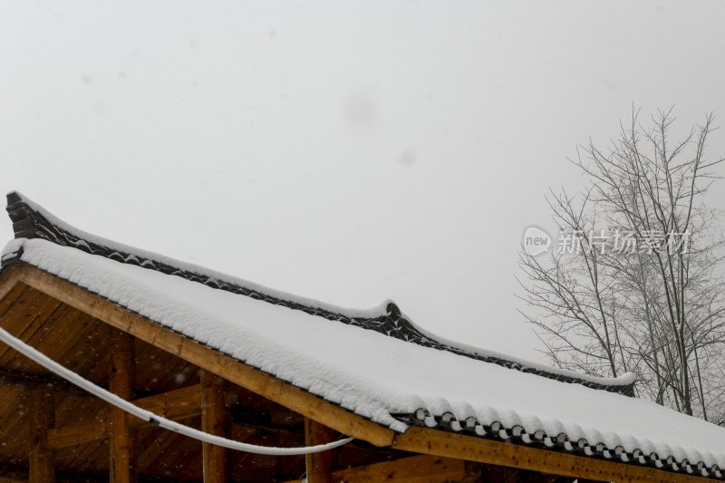 重庆酉阳：千氹田边飞白雪