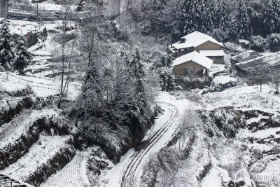 雪后的云和梯田风景