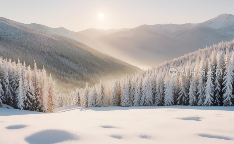 冬季森林白雪覆盖风景