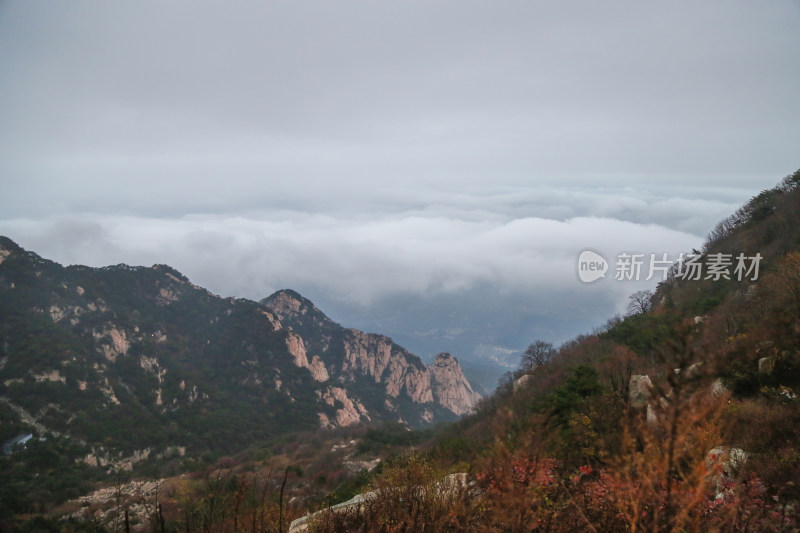 云海 山峰 山峦 清晨 泰山 壮观