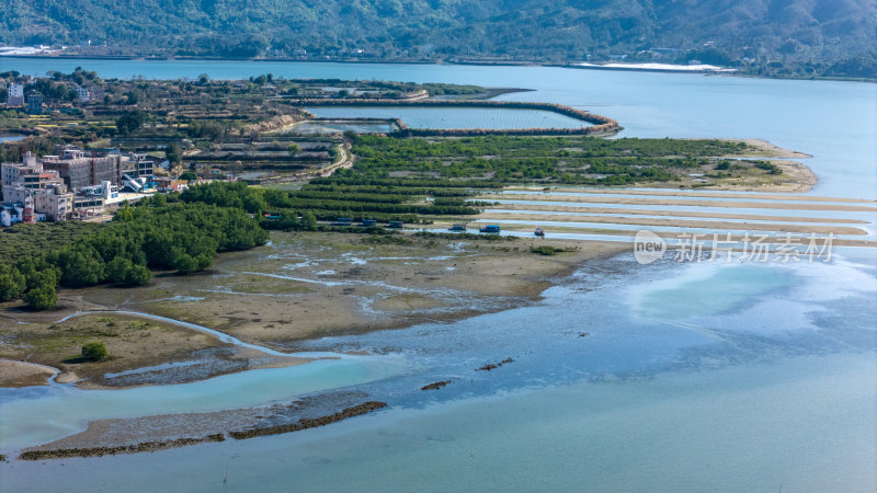 惠州市盐洲海洋湿地公园-红树林航拍