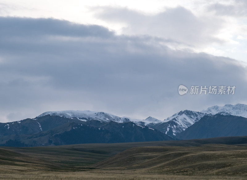 新疆天山蓝天白云下的草原雪山风光