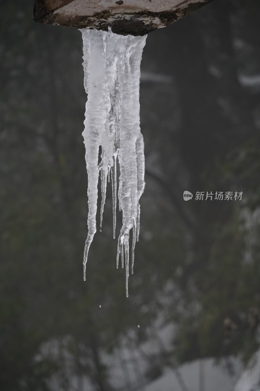 四川眉山瓦屋山景区晶莹剔透的冰垂