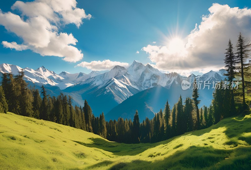 雪山高原草原森林风景