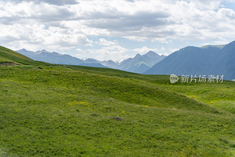 夏季喀拉峻草原