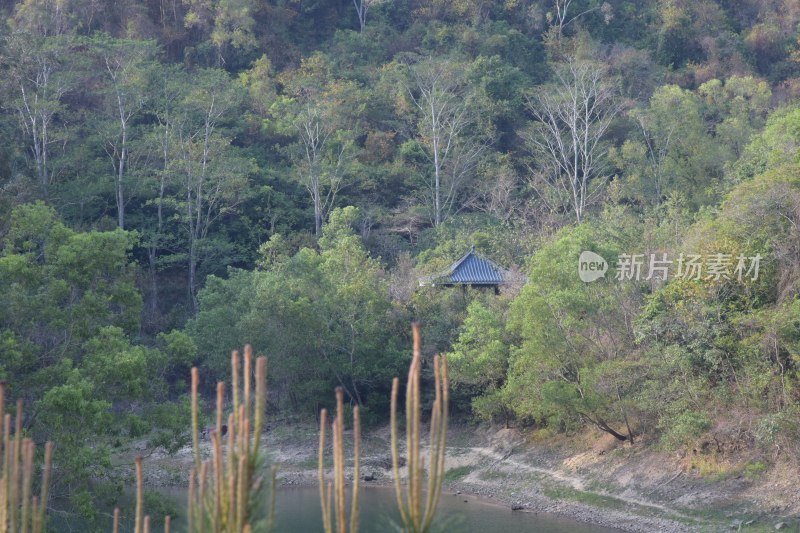 广东省东莞市银瓶山森林公园清溪景区