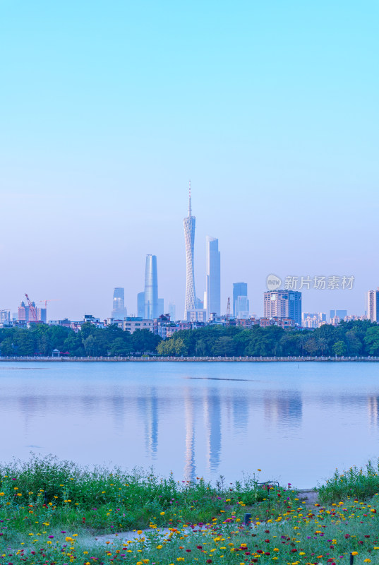 广州海珠湖公园鲜花花园与城市摩天大楼建筑