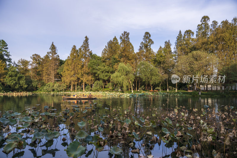 杭州西湖风景区曲院风荷风景