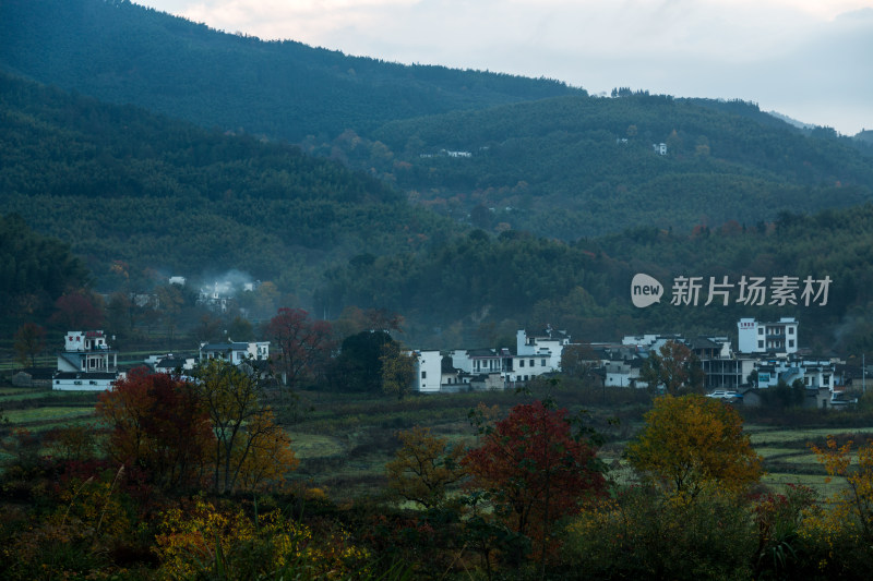 深秋时节的塔川