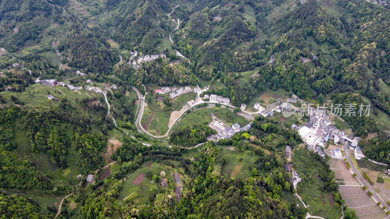 大山山峰农村农业农民茶园