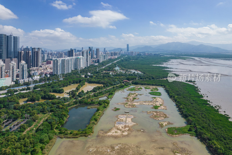 深圳市福田红树林保护区