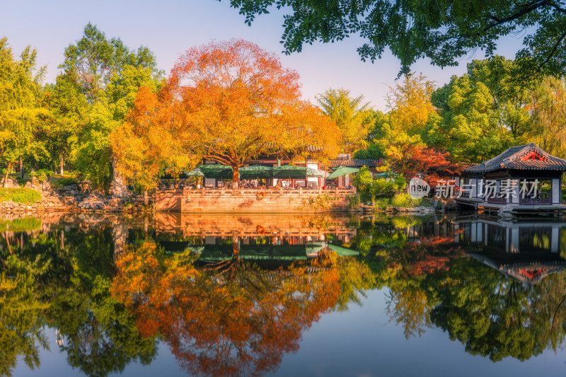 湖州莲花庄园林秋天湖泊枫叶景观