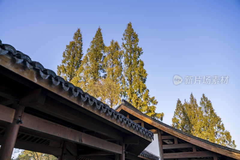 杭州西湖茅家埠江南水乡风景