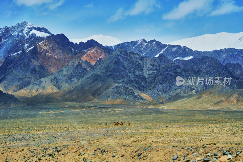 新疆阿尔金山的自然美景