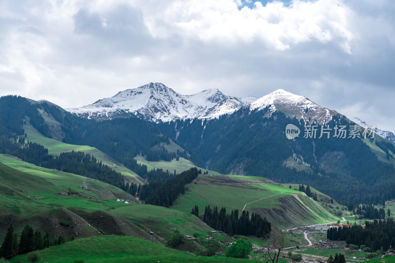 新疆伊犁琼库什台雪山森林草原风光