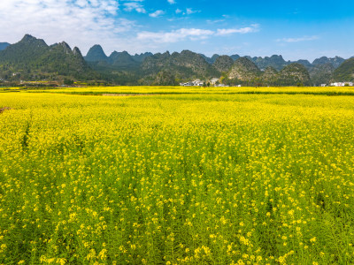 贵州黔西南州兴义市万峰林风景风光