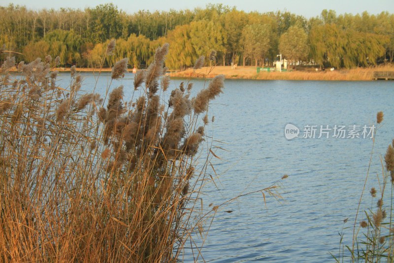 北京马家湾湿地公园