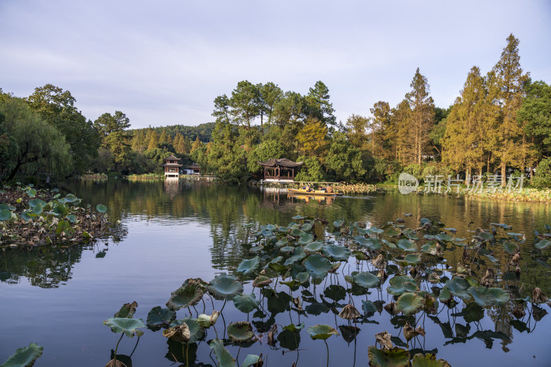 杭州西湖风景区曲院风荷风景