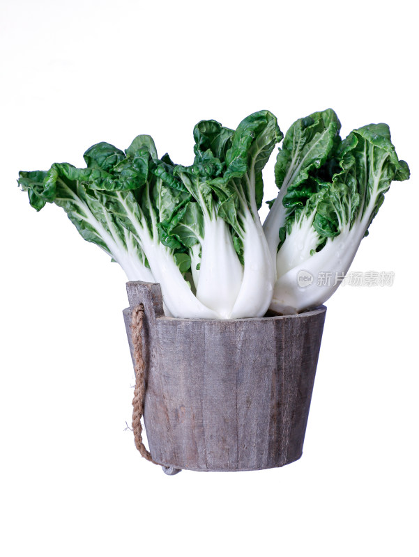 一篮子绿色小白菜的白底图