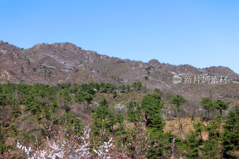 春季北京昌平大山里春色