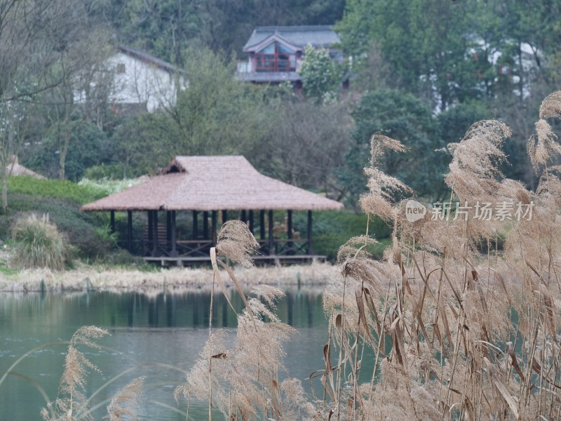 杭州三台山乌龟潭风景