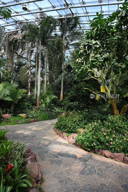 温室植物景观小径