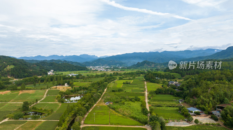 航拍武夷山绿色农田与茶园