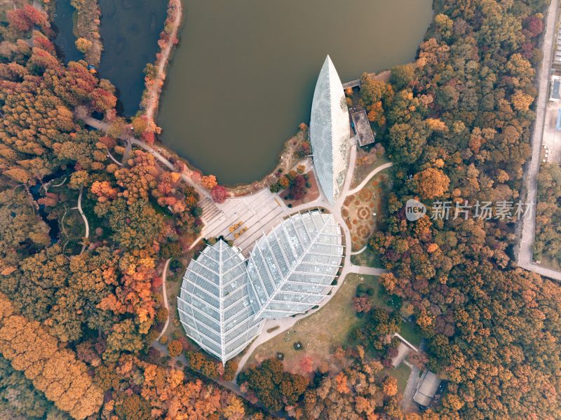 南京中山植物园前湖秋季风光