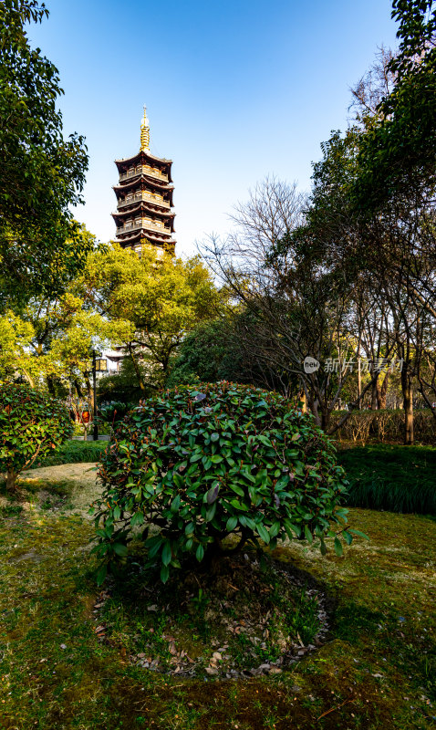 上海嘉定安亭老街菩提禅寺景点景观