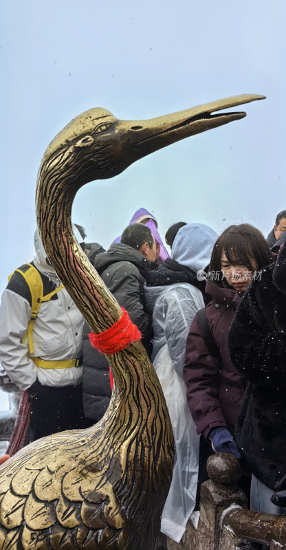 湖北武当山景区金顶游客仙鹤祈福