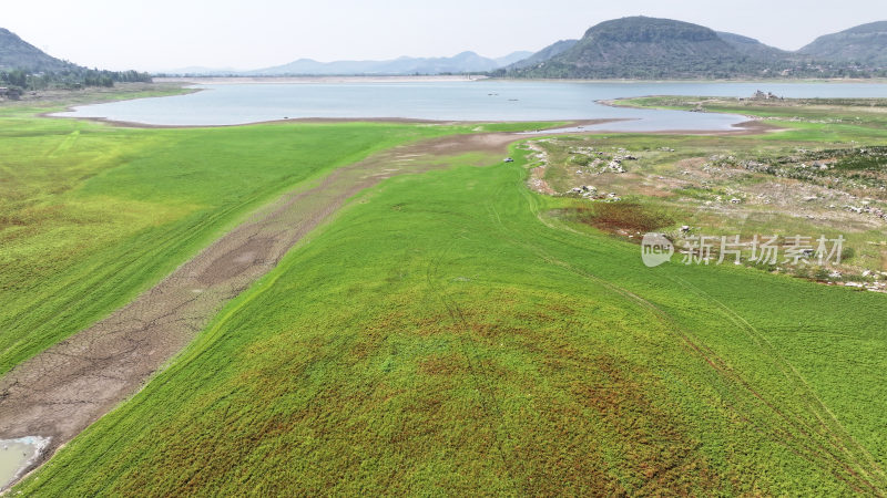 山东枣庄周村水库湿地草原风光