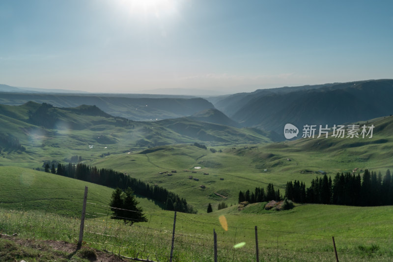 开阔的山间草地自然风光全景图