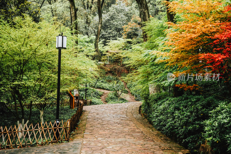 长沙岳麓山