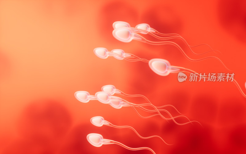精子细胞3D渲染